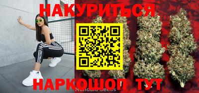 трава Будённовск